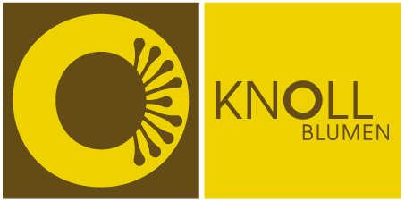 knoll